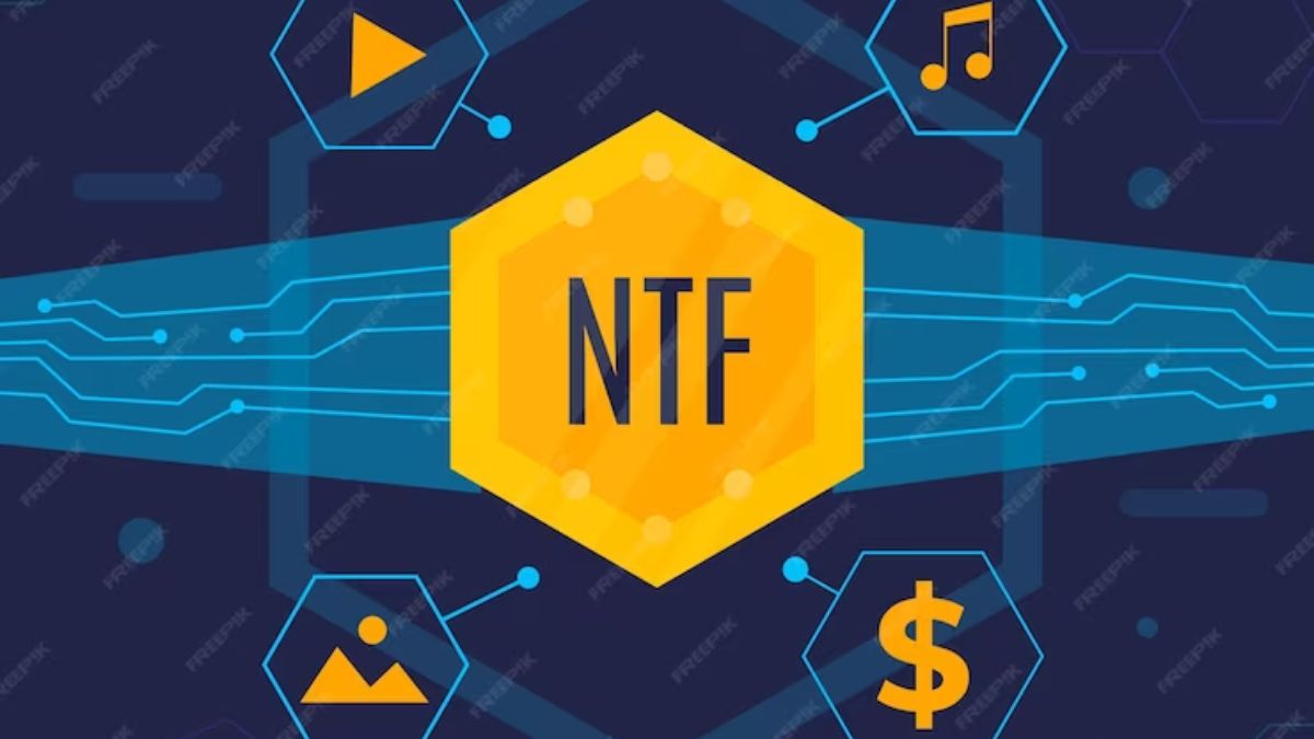 NFTs increase boundaries by adding verifiable ownership rights
