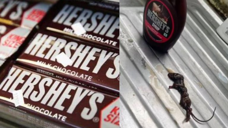 Nainen löytää ”kuolleen hiiren” Hersheyn suklaasiirupista;  yritys vastaa virusviestiin